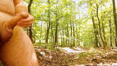Long jerk and big cum on path in forest. Iamhornybobo