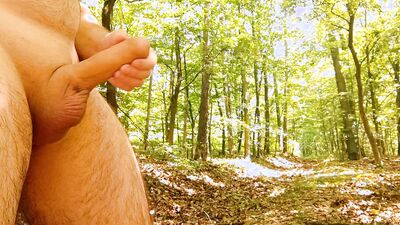 Long jerk and big cum on path in forest. Iamhornybobo
