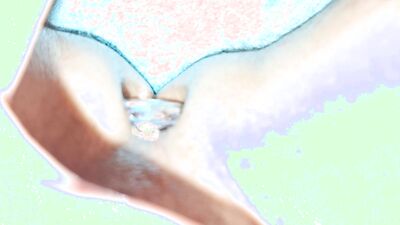 My POV #165 Dildo & buttplug