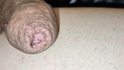 A milky femboy student screams from daddy's big dick from the buzz in his ass without a condom! , Cum