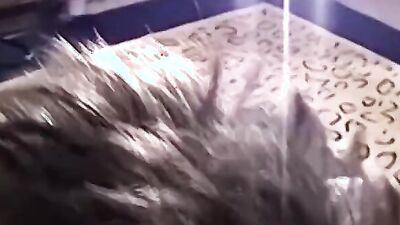 Straight chap strokes his dick in front of the camera