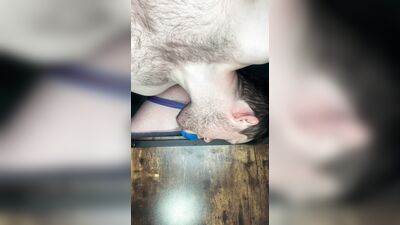 Twink Bros Bareback Anal Creampies