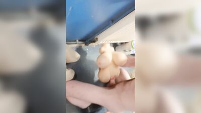 Horny teen fucks massive tited sex doll