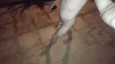 Leaving the house totally naked and going for a walk in public