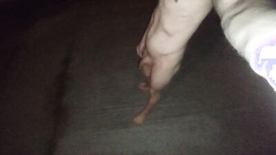 Leaving the house totally naked and going for a walk in public