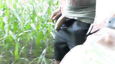 Big pissing and hot games with corncobs, my cock and ass in the cornfield