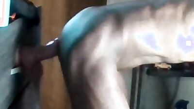Couple of doggy clips