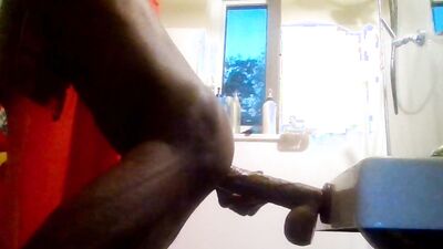 Couple of doggy clips