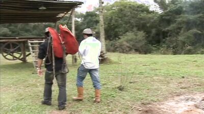 LATIN COWBOY LOVES ANAL - NO CONDOM