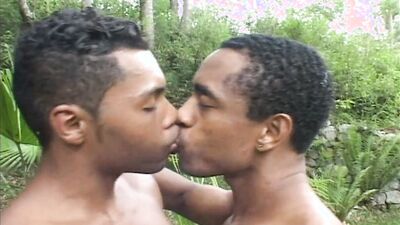 WILD LATIN ANAL