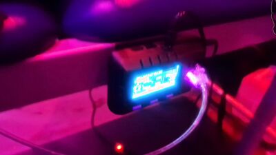 Rubber Gimp Strapped to the table and edged 100 times