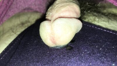 excited cock