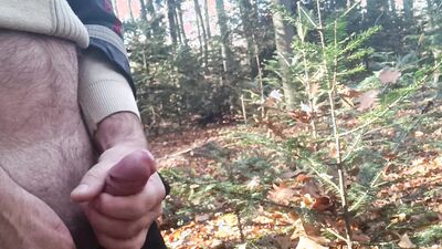 In nature in the forest
