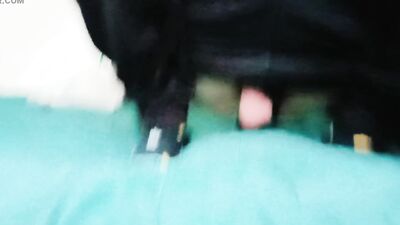 This Young Man Enjoys Dildoing His Ass