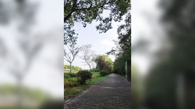 Nude walks in the park peeing and masturbating