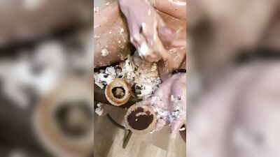 Food Porn