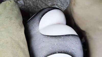 Big tight ass gets fucked by a big hard cock today