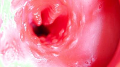 A big red cock inside a juicy hole can give sperm at any moment!