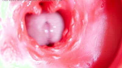 A big red cock inside a juicy hole can give sperm at any moment!