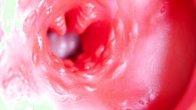 A big red cock inside a juicy hole can give sperm at any moment!