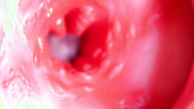 A big red cock inside a juicy hole can give sperm at any moment!