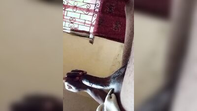 Daddy home alone masterbating with his 9inc cock anal fingering and cummimg