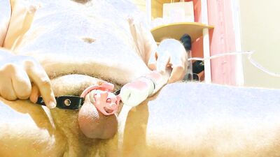 Piggy cumming through cage