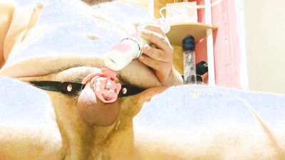 Piggy cumming through cage