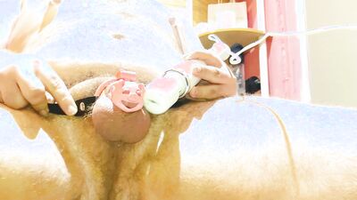 Piggy cumming through cage