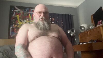 Hairy bear uncut close-up