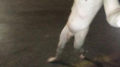 Piss shower, spanking and walking naked in public