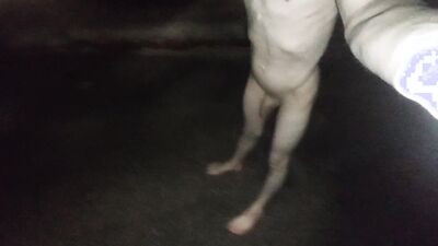 Piss shower, spanking and walking naked in public