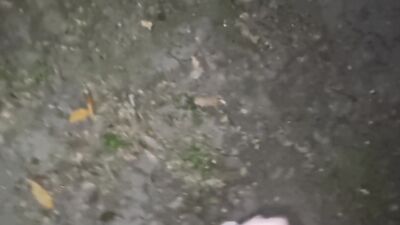 EXHIBITIONIST SEEKS A VOYEUR | PUBLIC CUMSHOT IN THE PARK AND WALK WITHOUT PANTIES - COCK ON DISPLAY