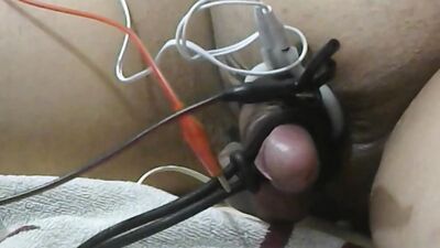 estim 20250329