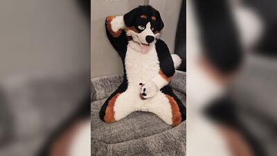 Fertility Check! Stud Dog @AngryBarks Milks his Heavy Balls and puts his Cum under a Microscope