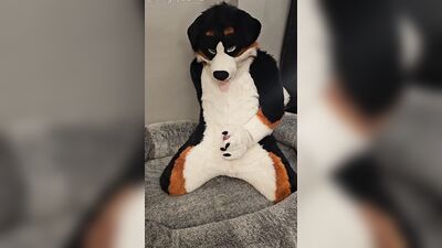 Fertility Check! Stud Dog @AngryBarks Milks his Heavy Balls and puts his Cum under a Microscope