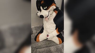 Fertility Check! Stud Dog @AngryBarks Milks his Heavy Balls and puts his Cum under a Microscope