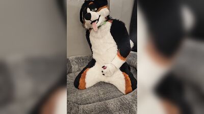 Fertility Check! Stud Dog @AngryBarks Milks his Heavy Balls and puts his Cum under a Microscope