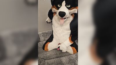 Fertility Check! Stud Dog @AngryBarks Milks his Heavy Balls and puts his Cum under a Microscope