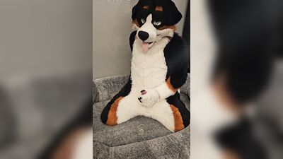 Fertility Check! Stud Dog @AngryBarks Milks his Heavy Balls and puts his Cum under a Microscope