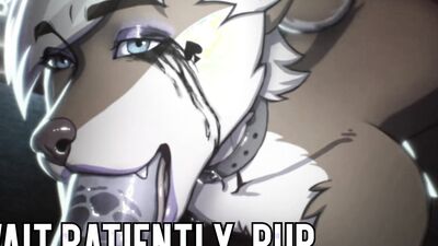 Levi's Puppy Trainer: Video #1