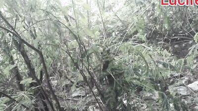 BBC in a forest sides