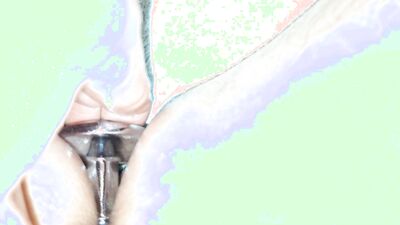 My POV #168 Dildo & buttplug