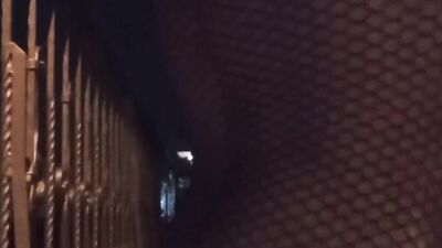 A very unusual collection of my beautiful moments in outdoor and public anal orgasms with flashing and exhibitionist