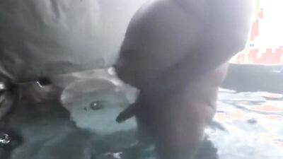 FAT DADDY BEAR BATE AND CUM COMPILATION (HOT TUB, DESK, AND BED)