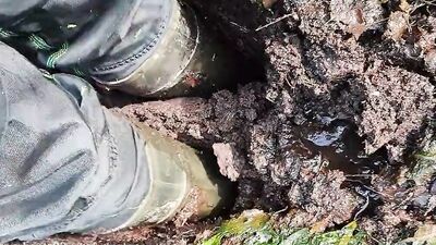 employees of this peat factory walk the path every day
