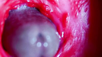 Juicy beautiful pussy squelches inside ASMR close-up inside the anus