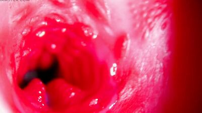 Juicy beautiful pussy squelches inside ASMR close-up inside the anus