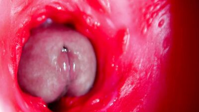 Juicy beautiful pussy squelches inside ASMR close-up inside the anus