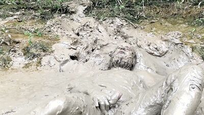 Closer, Muddier